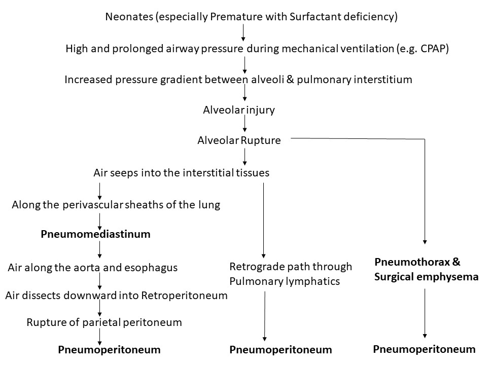 Figure 2 (3)