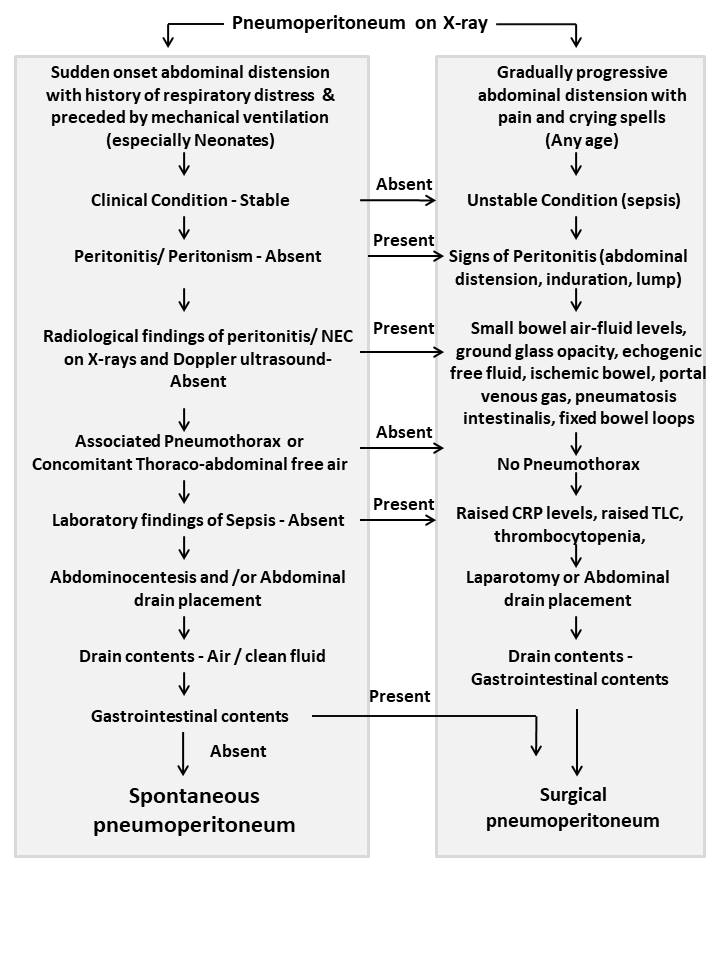 Figure 3 (2)